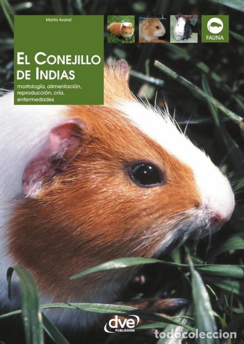 Libros: El conejillo de indias - Marta Avanzi - Foto 1