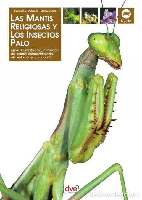 books: Las Mantis religiosa y los insectos palo - Marco Salemi,Francesco Tomasinelli