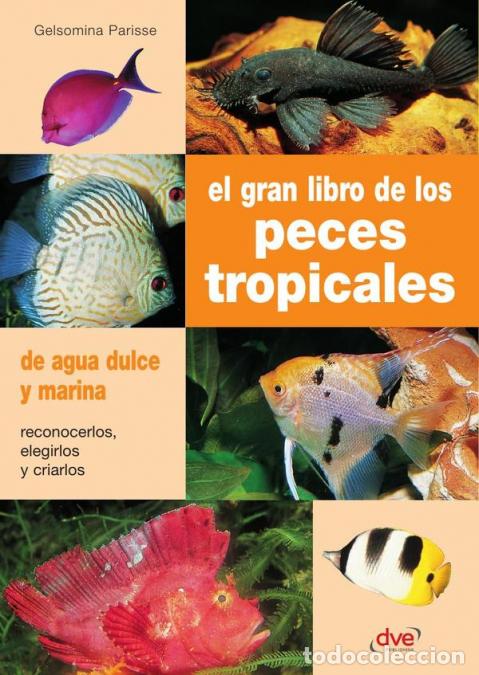 books: El gran libro de los peces tropicales - Gelsomina Parisse