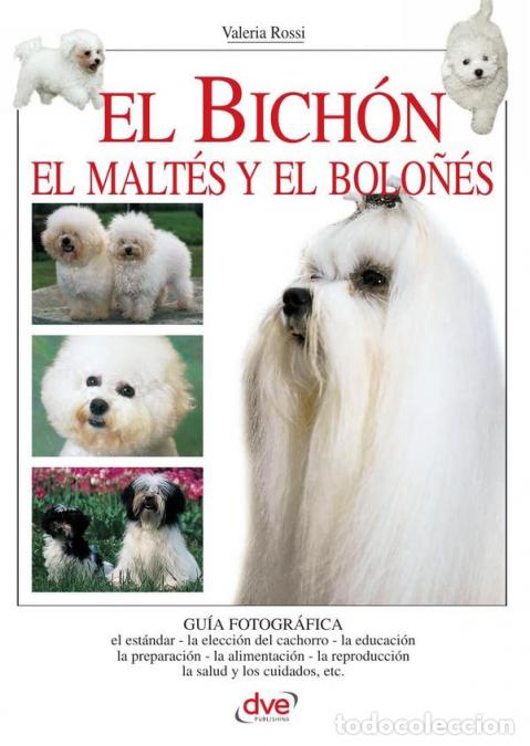 Libri: El bich&oacute;n - Valeria Rossi