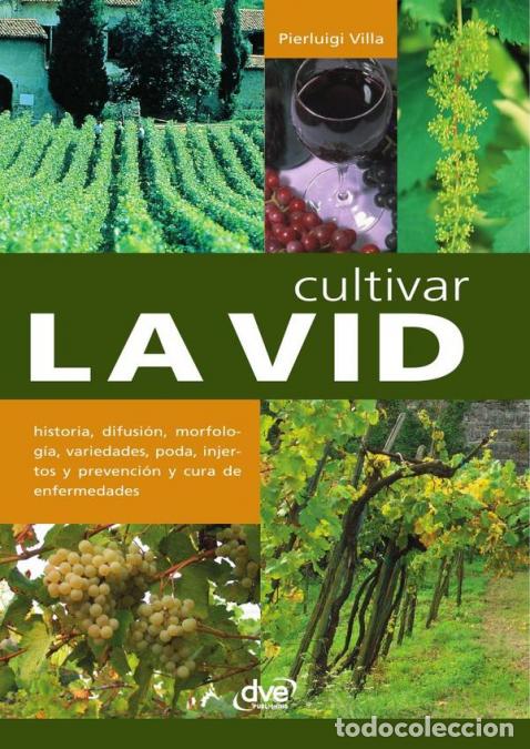 Libros: Cultivar la vid - Pierluigi Villa - Foto 1