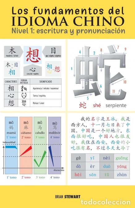 B&uuml;cher: Los fundamentos del idioma chino - escritura y pronunciaci&oacute;n - Brian Stewart