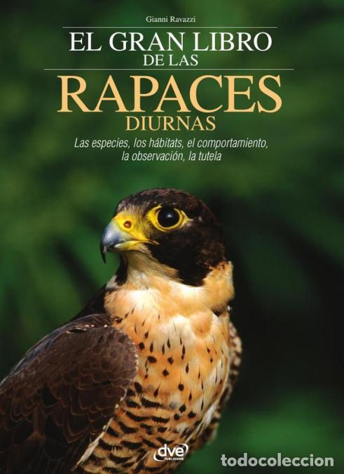 Libros: El gran libro de las rapaces diurnas - Gianni Ravazzi - Foto 1