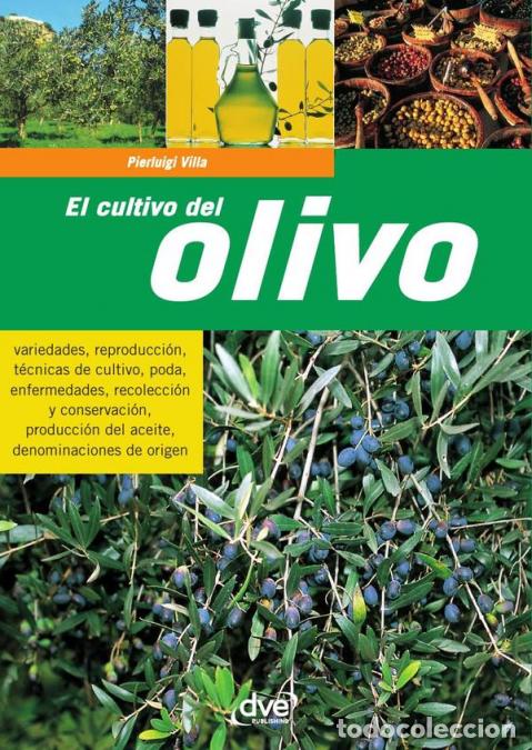 Libri: El cultivo del olivo - Pierluigi Villa