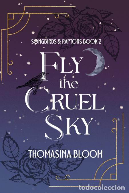 Libri: Fly the Cruel Sky - A Contemporary Fantasy Young Adult Novel - Thomasina Bloom