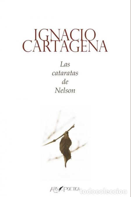 B&uuml;cher: Las cataratas de Nelson - Ignacio Cartagena