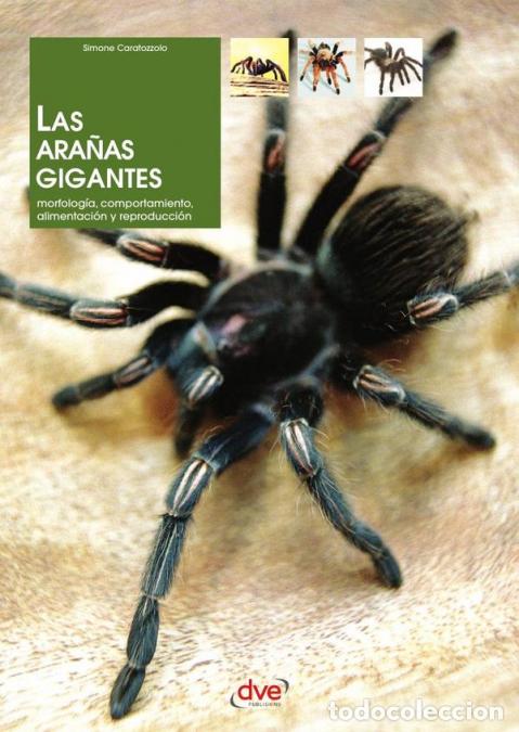 Libri: Las ara&ntilde;as gigantes - Simone Caratozzolo