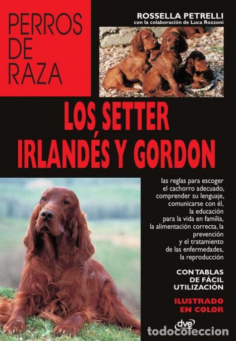 Livres: Los setter irland&eacute;s y gordon - Rossella Petrelli