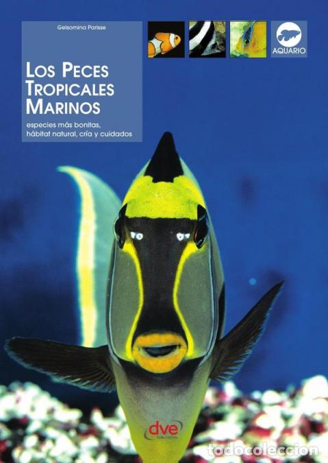 Livres: Los peces tropicales marinos - Gelsomina Parisse