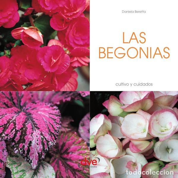 B&uuml;cher: Las Begonias - Daniela Beretta