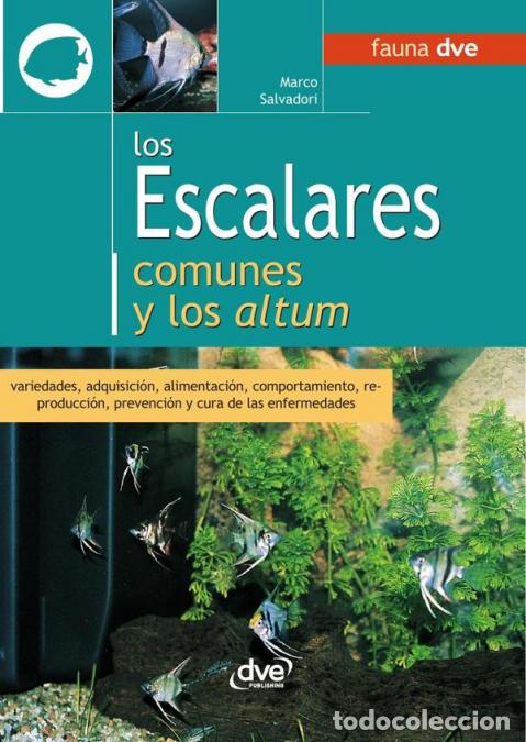 B&uuml;cher: Los escalares comunes y los altum - Marco Salvadori