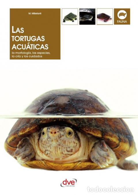 B&uuml;cher: Las tortugas acu&aacute;ticas - Massimo Millefanti