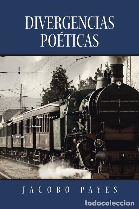 Livros: Divergencias Po&eacute;ticas - Jacobo Payes