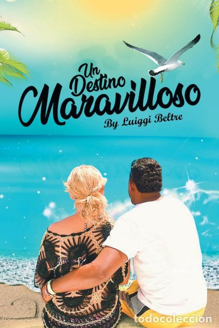 B&uuml;cher: Un Destino Maravilloso - Luiggi Beltre