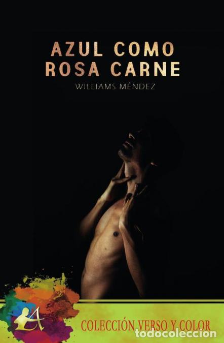 books: Azul como rosa carne - William M&eacute;ndez