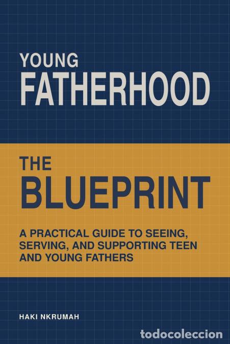 B&uuml;cher: Young Fatherhood - The Blueprint - Haki Nkrumah