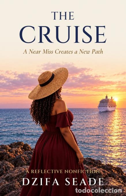 B&uuml;cher: The Cruise - A Near Miss Creates a New Path - Dzifa Seade