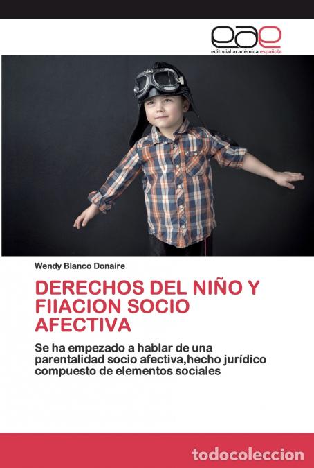 Livros: DERECHOS DEL NI&Ntilde;O Y FIIACION SOCIO AFECTIVA - Wendy Blanco Donaire