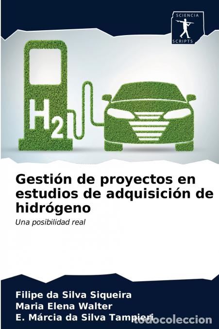 Libros: Gesti&oacute;n de proyectos en estudios de adquisici&oacute;n de hidr&oacute;geno - Maria Elena Walter,Filipe da Silva Si