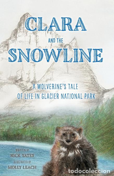 books: Clara and the Snowline - A Wolverine?s Tale of Life in Glacier National Park - Molly Leach,Rick Yate