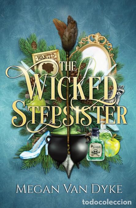 Libros: The Wicked Stepsister - A fairy tale retelling mash-up of Cinderella and Snow White - Megan Van Dyke
