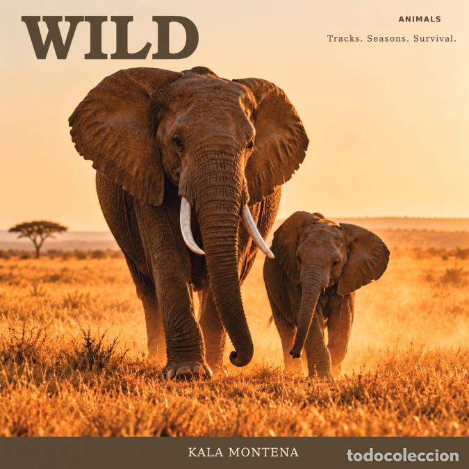 Libros: ANIMALS - WILD - Kala Montena - Foto 1