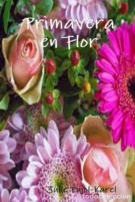 Libri: Primavera en flor - Julie Pujol-Karel