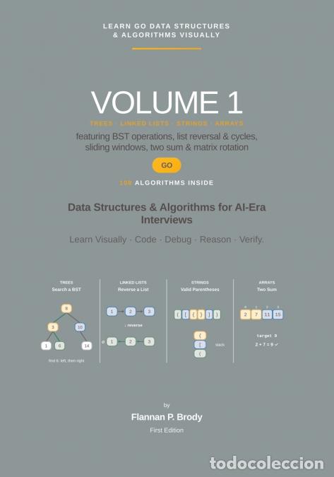 Libros: Learn Go Data Structures & Algorithms Visually - Volume 1 - Data Structures & Algorithms for AI-Era - Foto 1