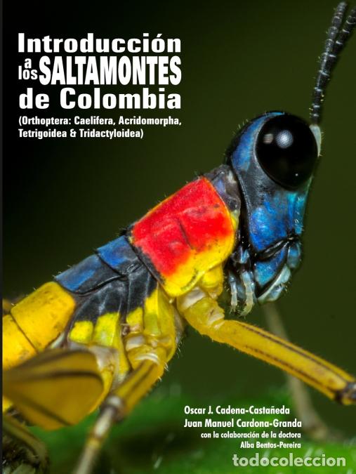 Libri: Introduccion a los saltamontes de Colombia - Oscar JCadena-Casta&ntilde;eda,Oscar J. Cadena-Casta&ntilde;eda