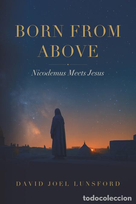 books: Born From Above - Nicodemus Meets Jesus - Lunsford