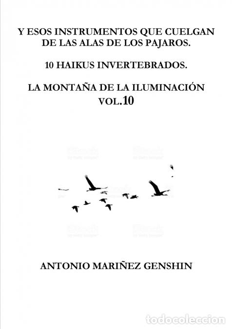 Libri: Y ESOS INSTRUMENTOS QUE CUELGAN DE LAS ALAS DE LOS PAJAROS - ANTONIO MARI&Ntilde;EZ DOMINGUEZ