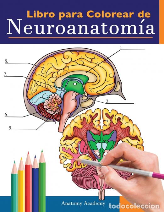 Livres: Libro para colorear de neuroanatom&iacute;a - Libro para colorear detallad&iacute;simo de cerebro humano para auto