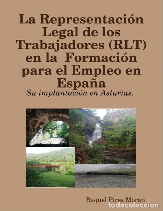 B&uuml;cher: La Representaci&oacute;n Legal de los Trabajadores (RLT) en la Formaci&oacute;n para el Empleo en Espa&ntilde;a - su imp