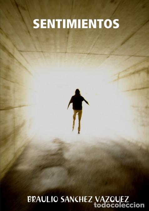 Libros: SENTIMIENTOS - BRAULIO SANCHEZ VAZQUEZ - Foto 1