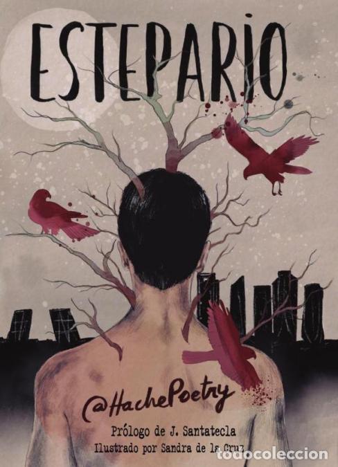 Libros: Estepario - @HachePoety - Foto 1