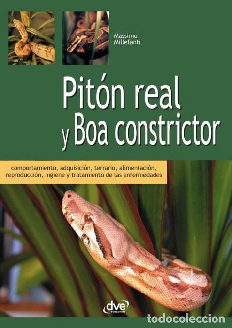 B&uuml;cher: Pit&oacute;n real y boa constrictor - Massimo Millefanti
