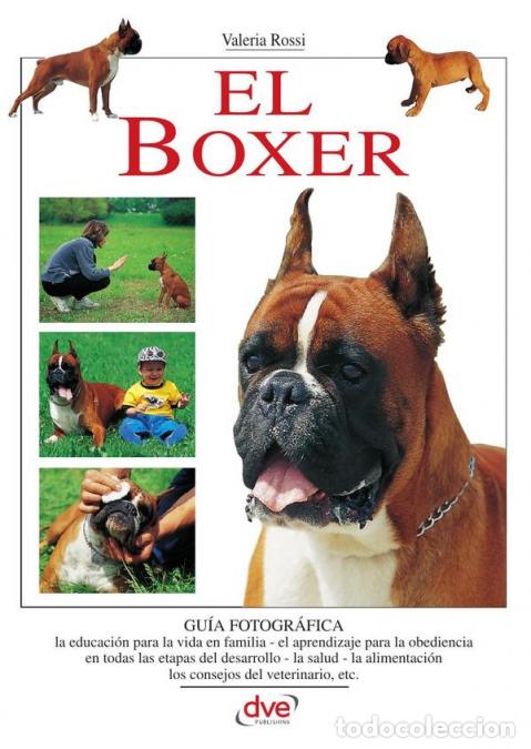 Libros: El Boxer - Valeria Rossi - Foto 1