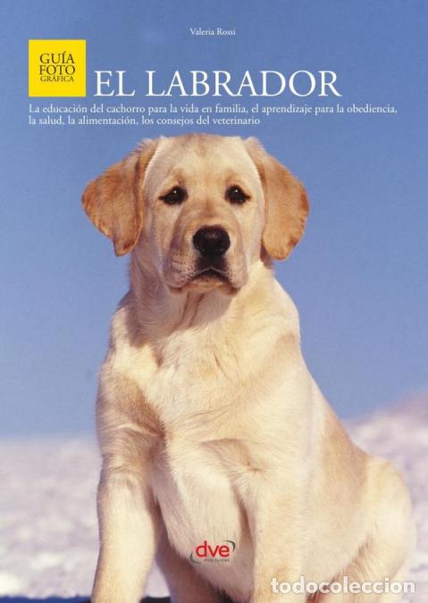 Libros: El Labrador - Valeria Rossi - Foto 1