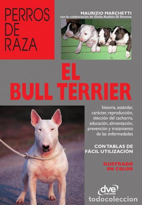 Libros: El bull terrier - Maurizio Marchetti - Foto 1