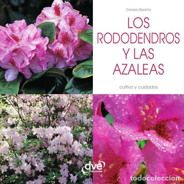 Libros: Los rododendros y las Azaleas - Daniela Beretta - Foto 1