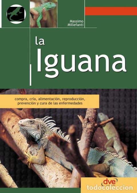 Libros: La iguana - Massimo Millefanti - Foto 1
