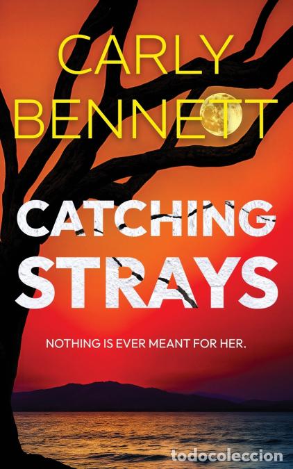 Libri: Catching Strays - Carly Bennett
