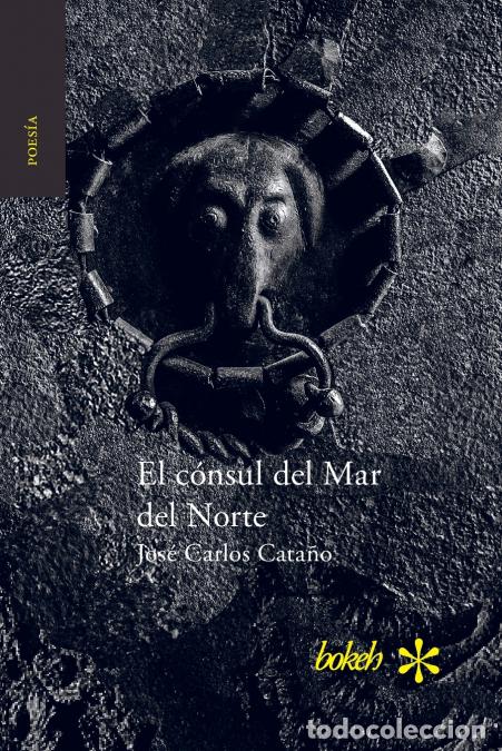 Libros: El c&oacute;nsul del Mar del Norte - Jos&eacute; Carlos Cata&ntilde;o