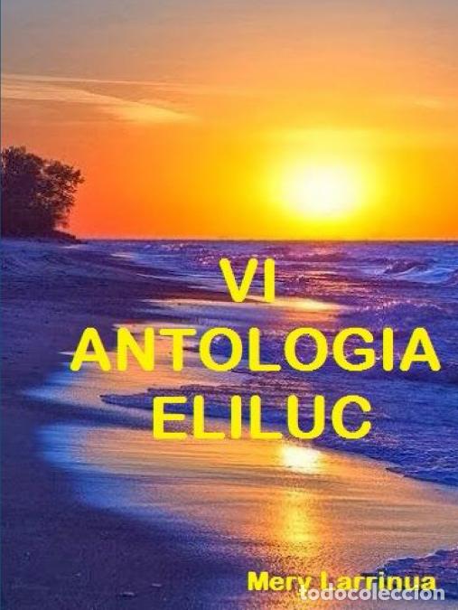 Livres: VI ANTOLOGIA ELILUC - Mery Larrinua