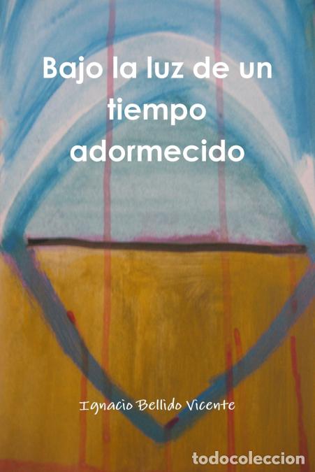 Libri: Bajo la luz de un tiempo adormecido - Ignacio Bellido Vicente