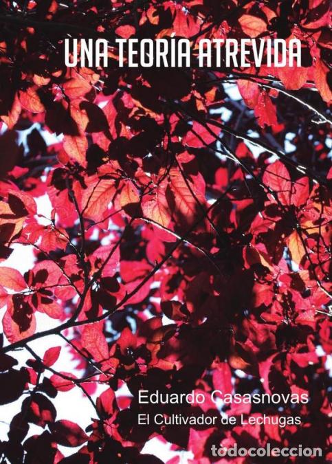 books: Una teor&iacute;a atrevida - Eduardo Casasnovas
