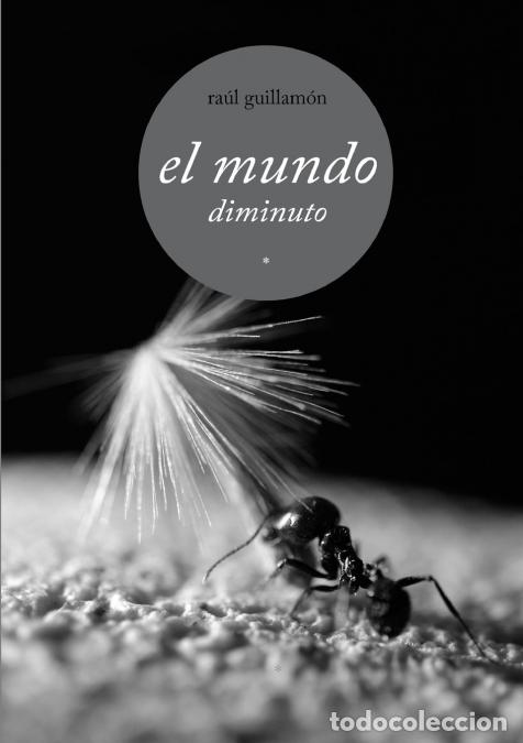 Libri: el mundo diminuto - Raul Guillamon Garcia