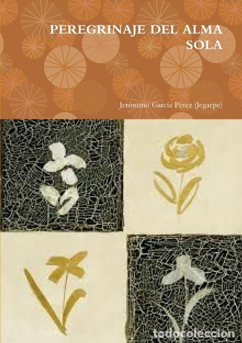Livres: PEREGRINAJE DEL ALMA SOLA - Jer&oacute;nimo Garc&iacute;a P&eacute;rez (Jegarpe)