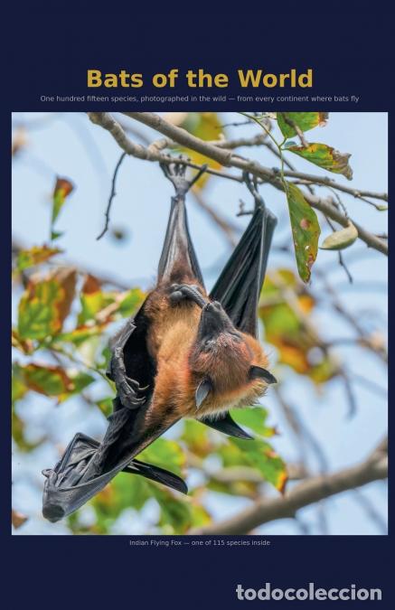 Libros: Bats of the World - Donald Cooper