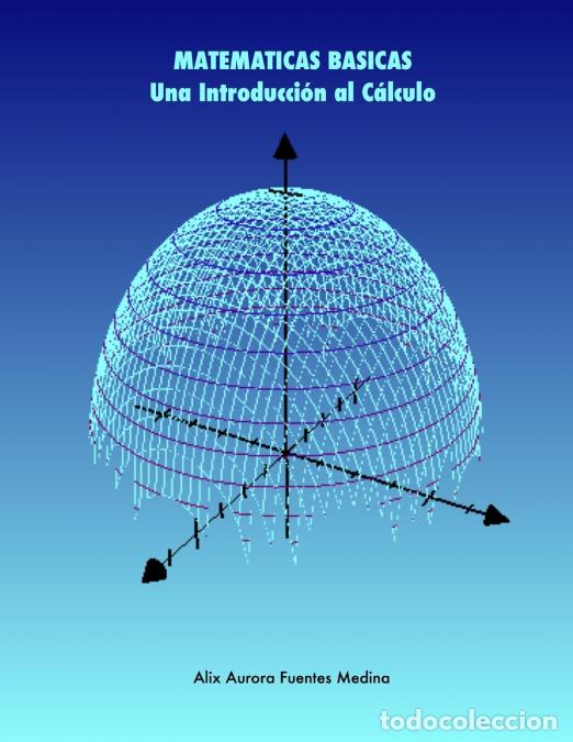 Libri: MATEMATICAS BASICAS. Una Introducci&oacute;n al C&aacute;lculo - Alix Fuentes